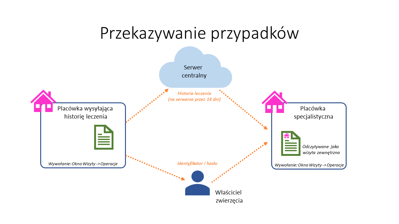 przekazywanie wizyt