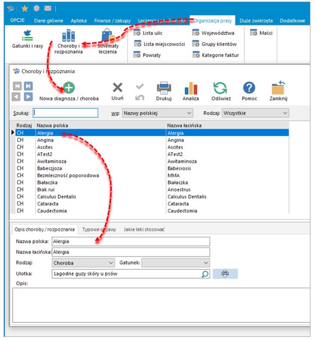 choroby i rozpoznania