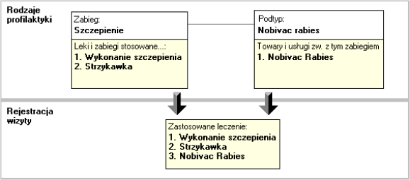 schemat