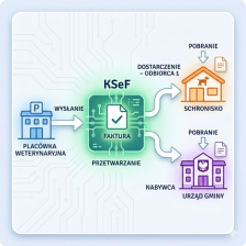 Faktury a podmioty zależne